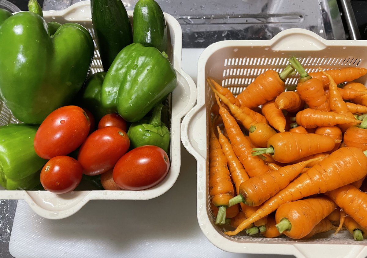 Annet_mhgo's tweet image. ミニトマトきゅうりピーマンと虫に穴を開けられた未熟なパプリカ。にんじん洗うの大変過ぎて、「間引くなんて可哀想🥺みんな生きてるんだょ🌱」とか「条蒔きめんどくせ。発芽率悪いらしいし適当にパラパラ蒔き蒔き〜」とか考えてた春の私を殴りたい。#家庭菜園 #MSGO #ガーデニング