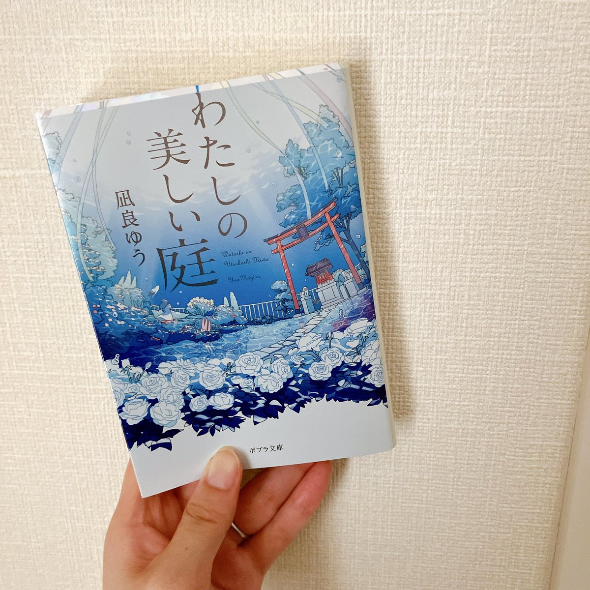 marukobooks's tweet photo. 『わたしの美しい庭』
夏カバー買っちゃった......
春夏秋冬そろえちゃった......
同じ本5冊持ってるよ......
最高記録よ......
（秋2冊のうち1冊はサイン本なのです🧡）
森さんのせいですよ......（めちゃくちゃ褒めてる）

はあああん、かわいい😮‍💨🩵🤍 https://t.co/ibUF4tGuWD