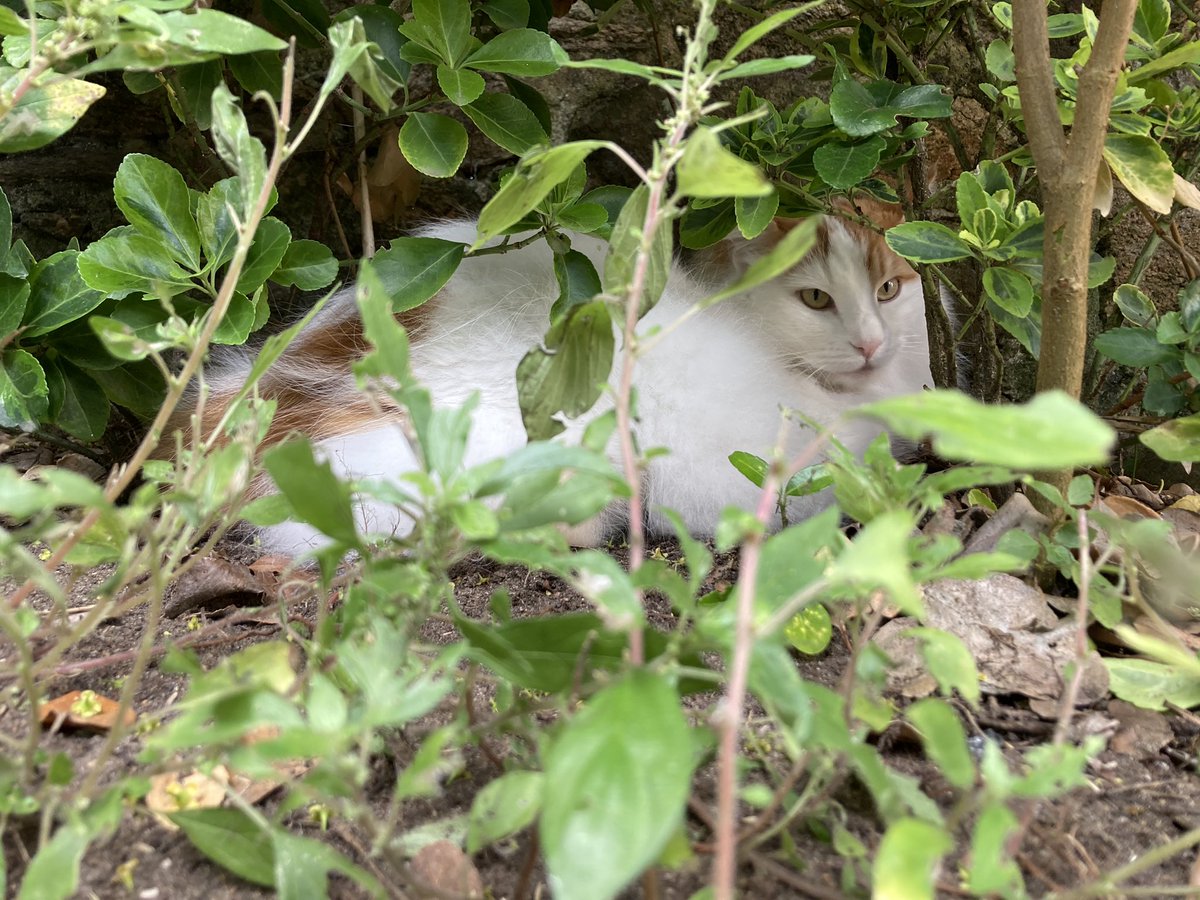 SHErlock 🔎🎀 🍋 ☃️ tweet media