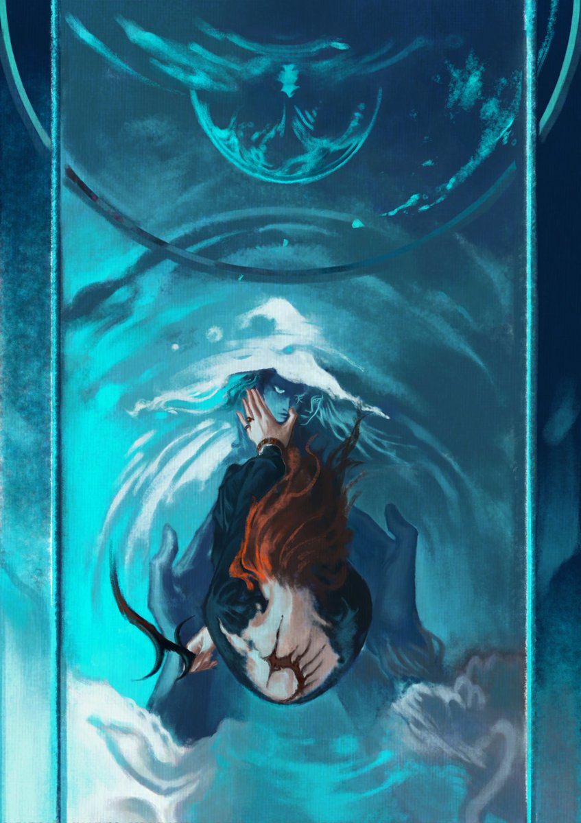 ৳┾──── tweet media