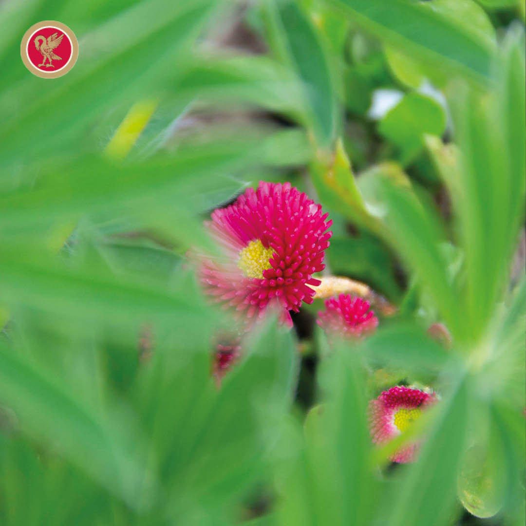 King's College Prep School tweet media