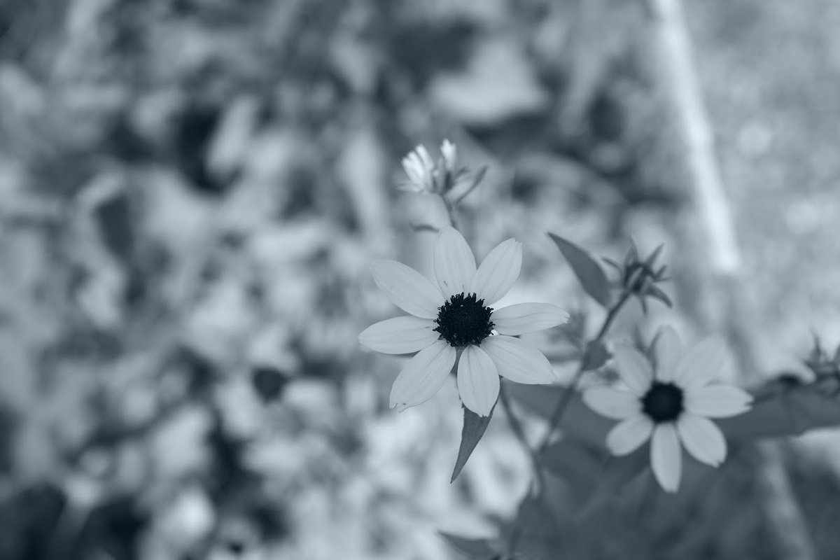 過去のわたしの過ちは
過ちであるが故に
いつか正しいものになるの
わたしがここに至り
あなたと会えたのだから