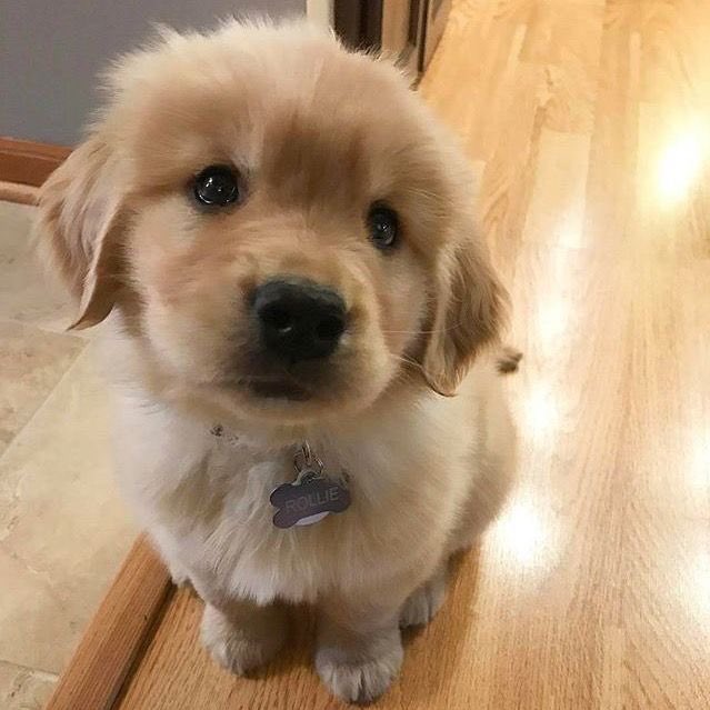 takemybear 🐶 tweet media