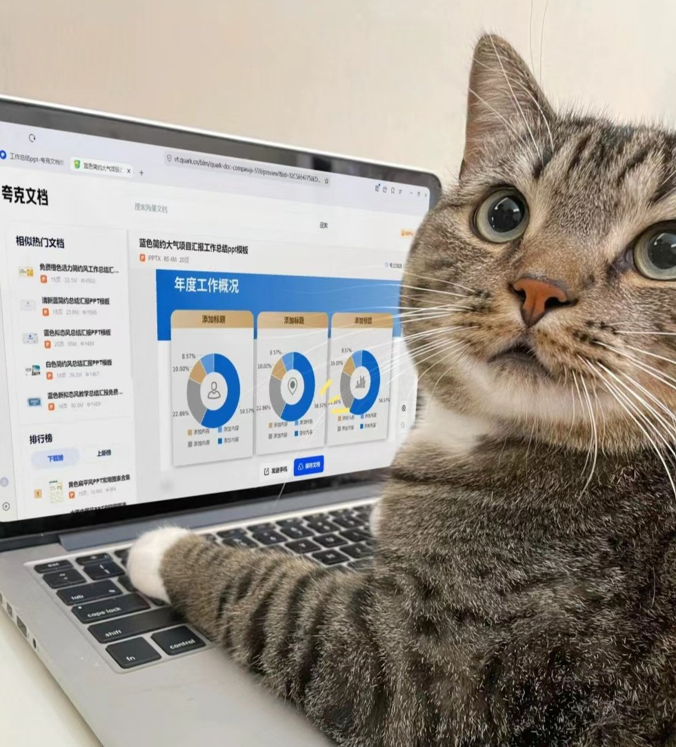 No Context Cats tweet media