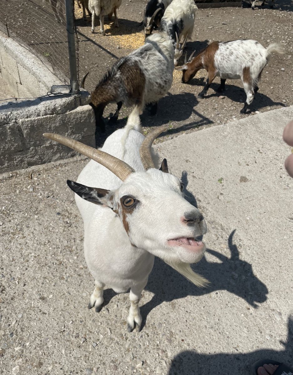 Not everyday you meet CR7 🙏🏼