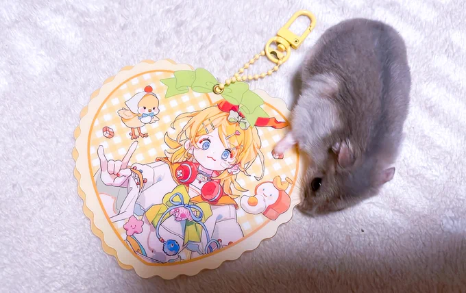 ムンッ(灬 'ㅅ'灬)リンちゃん可愛いそして相変わらずサイズがでかいbilibiliグッズ 