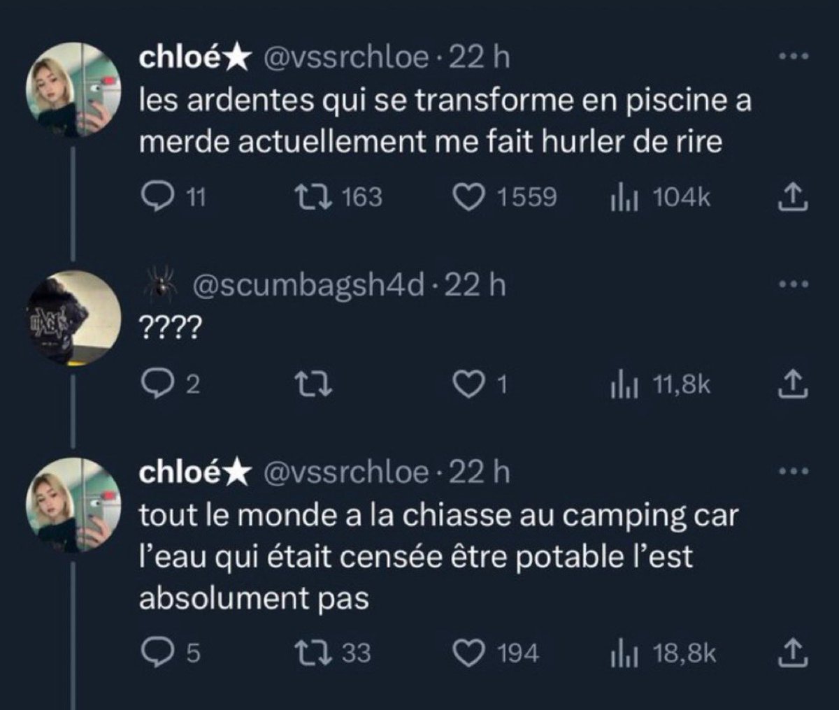 🇩🇿🇮🇹 tweet media