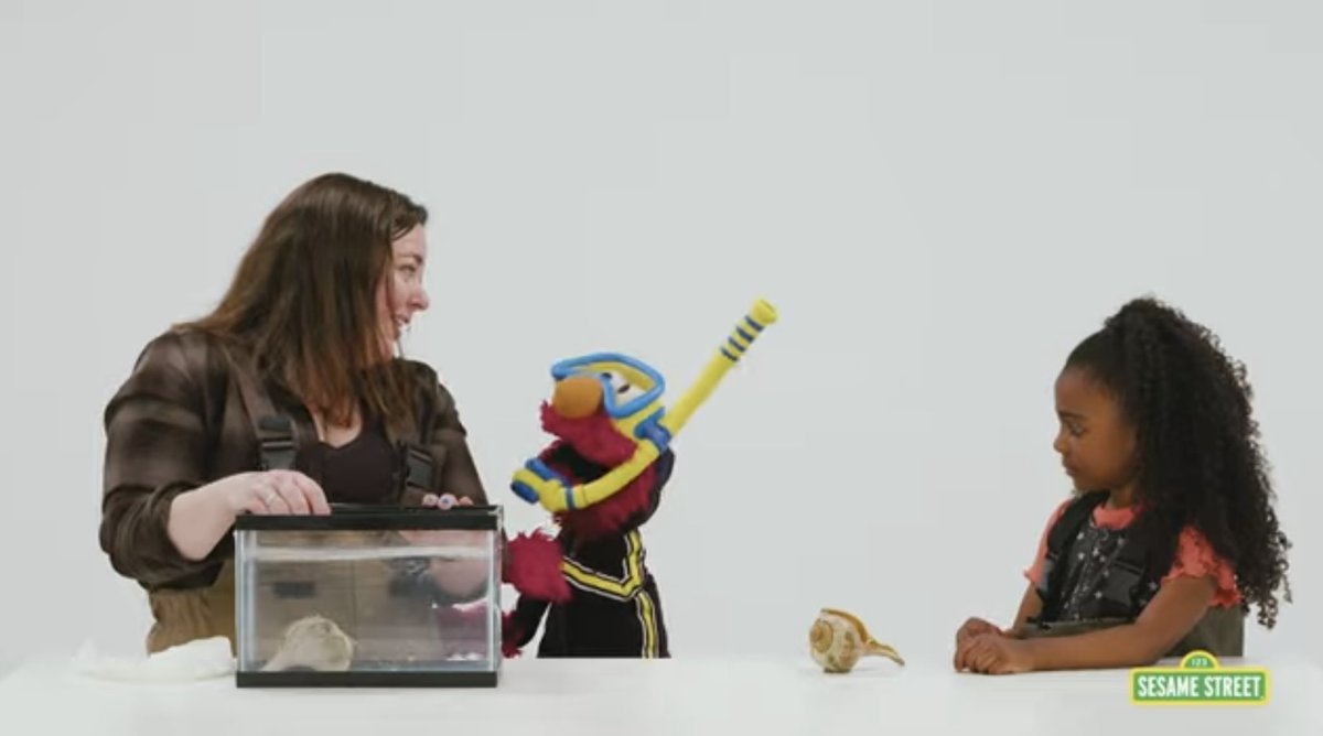 Sarah McAnulty, Ph.D tweet media