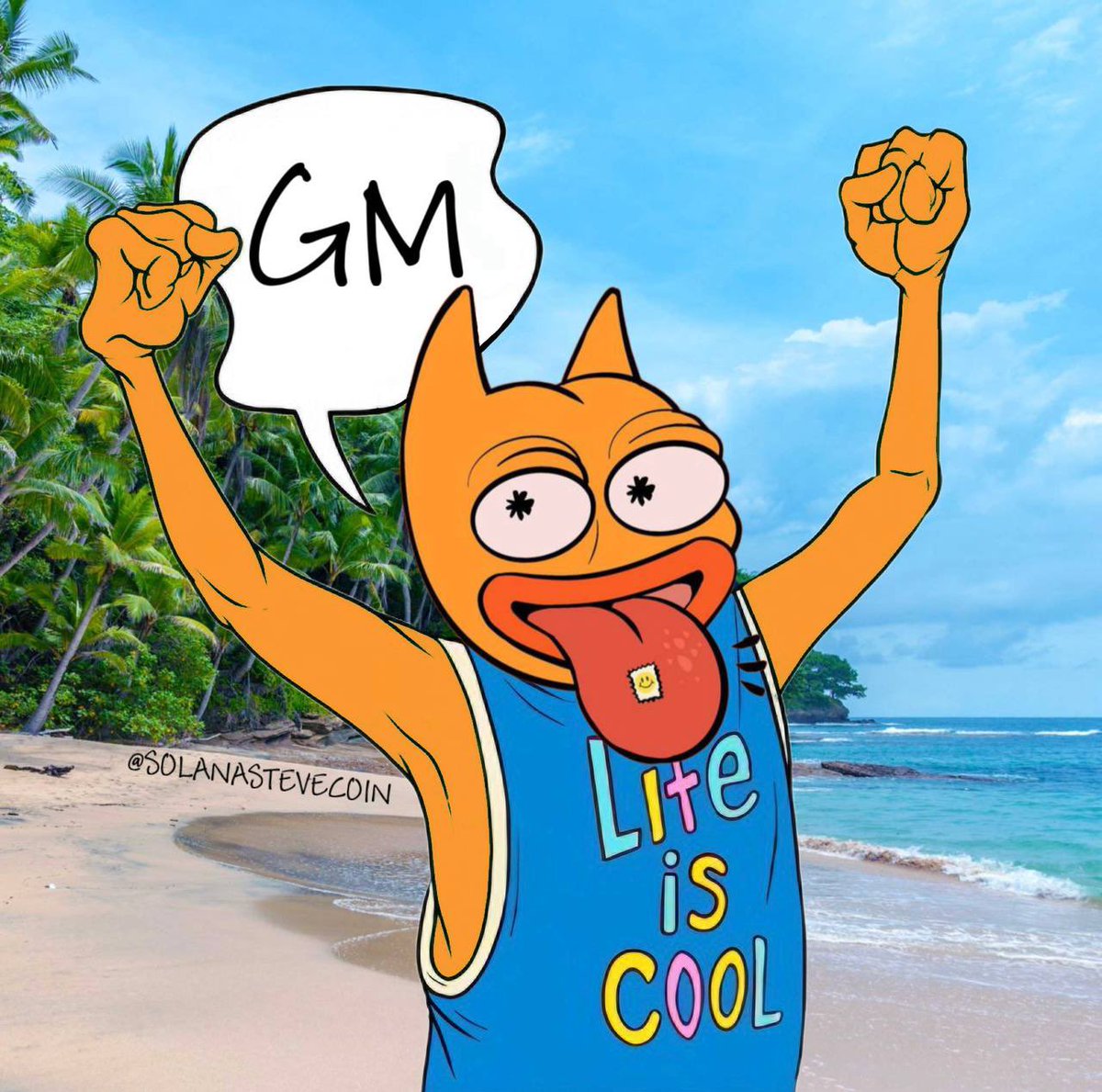 solanastevecoin's tweet photo. GM if you believe in Steve #summerofsteve #solana https://t.co/OjFa61vJep