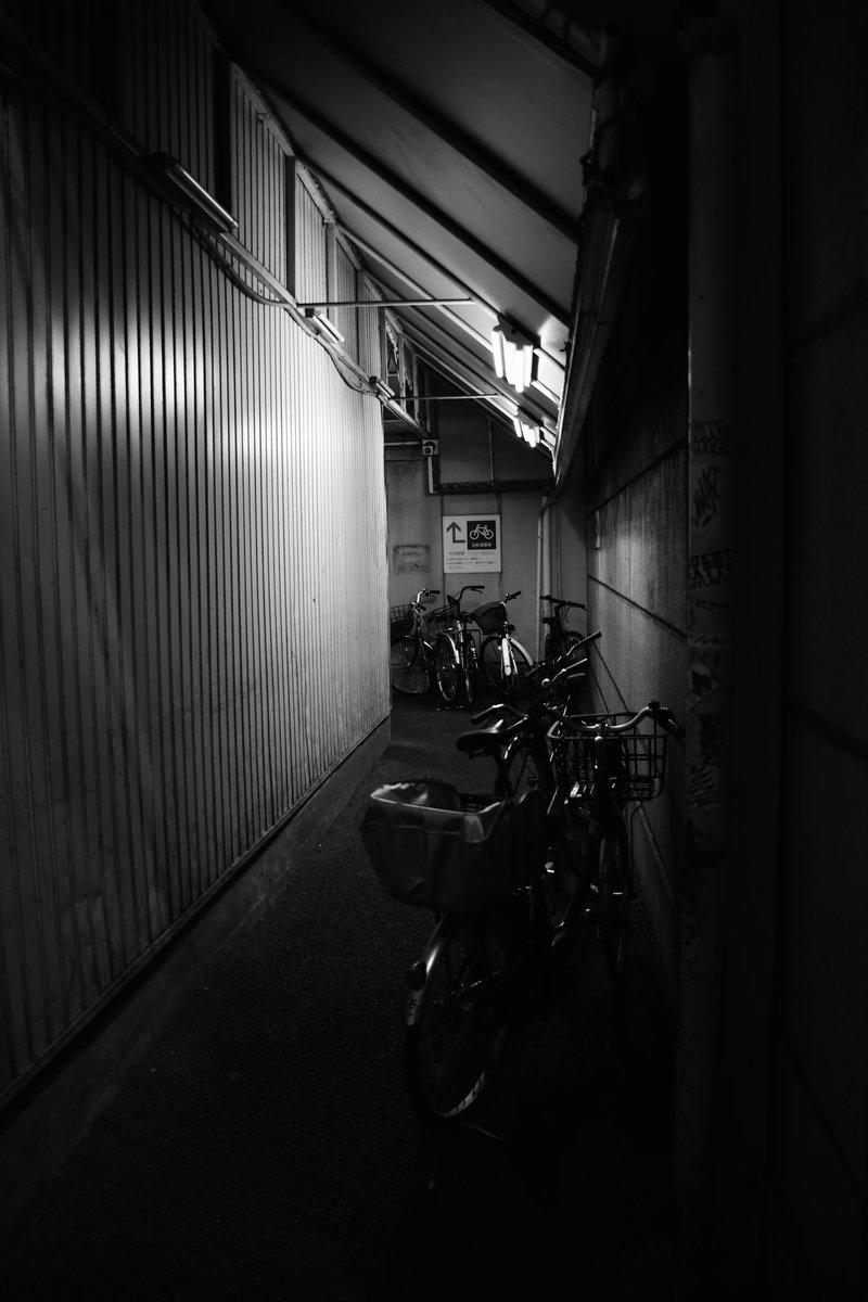 shotaro_cc_'s tweet photo. 大須 https://t.co/V7EshXjqNY