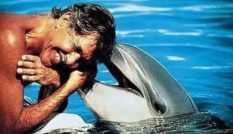 Sabina25537896's tweet photo. In un giorno di immersione Enzo Maiorca fu colpito alla schiena da un delfino Lo seguì e a 12 m trovò un altro delfino intrappolato in una rete, liberandolo Il delfino prigioniero era una femmina che stava per partorire Il maschio si fermò davanti a Enzo toccandogli la guancia https://t.co/JIoinVhGli