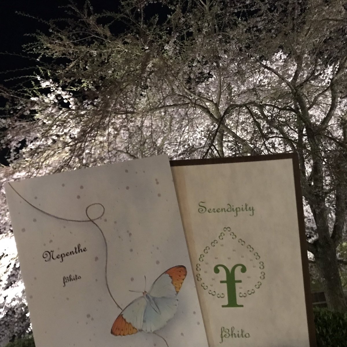 こもれび ページ Amazon.co.jp: Atpwonz カラーコピー用紙 100枚 A4サイズ カラー