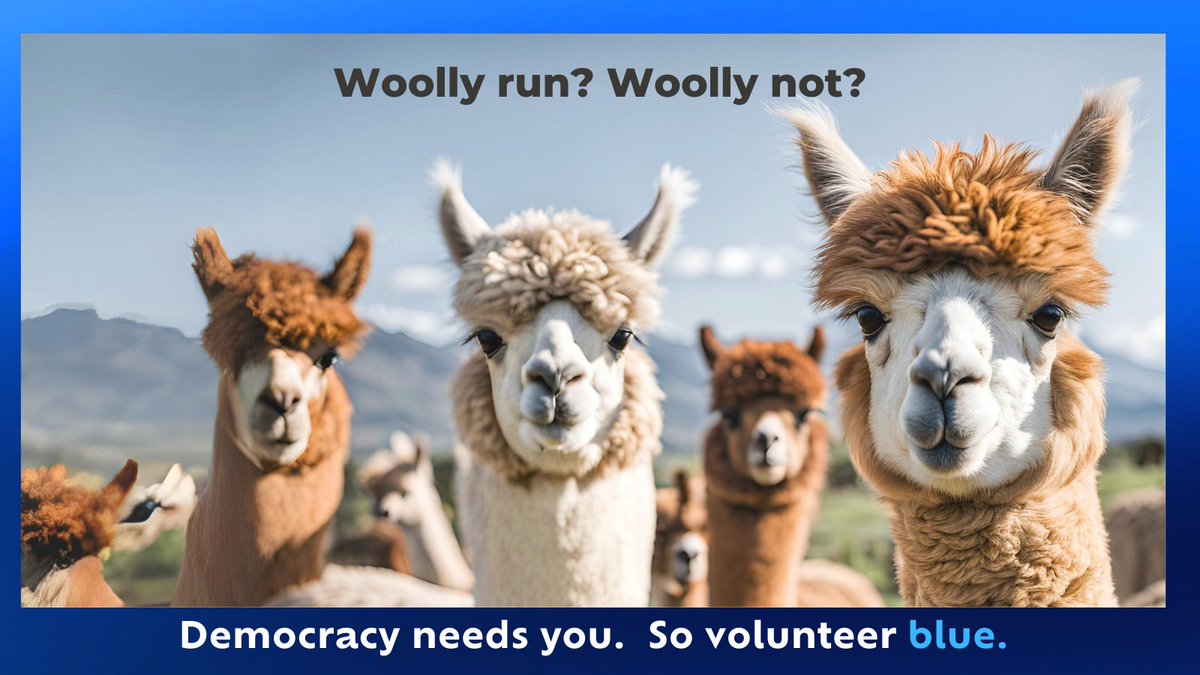 Volunteer_Blue's tweet photo. Either way, we still need to go Blue! Join the herd of volunteers making a difference by signing up for a short Volunteer Blue info session - Tuesdays 7:30-8:30pm EDT and Fridays 1-2pm EDT https://t.co/1WpobgrrZo https://t.co/aUSuEjNFgb