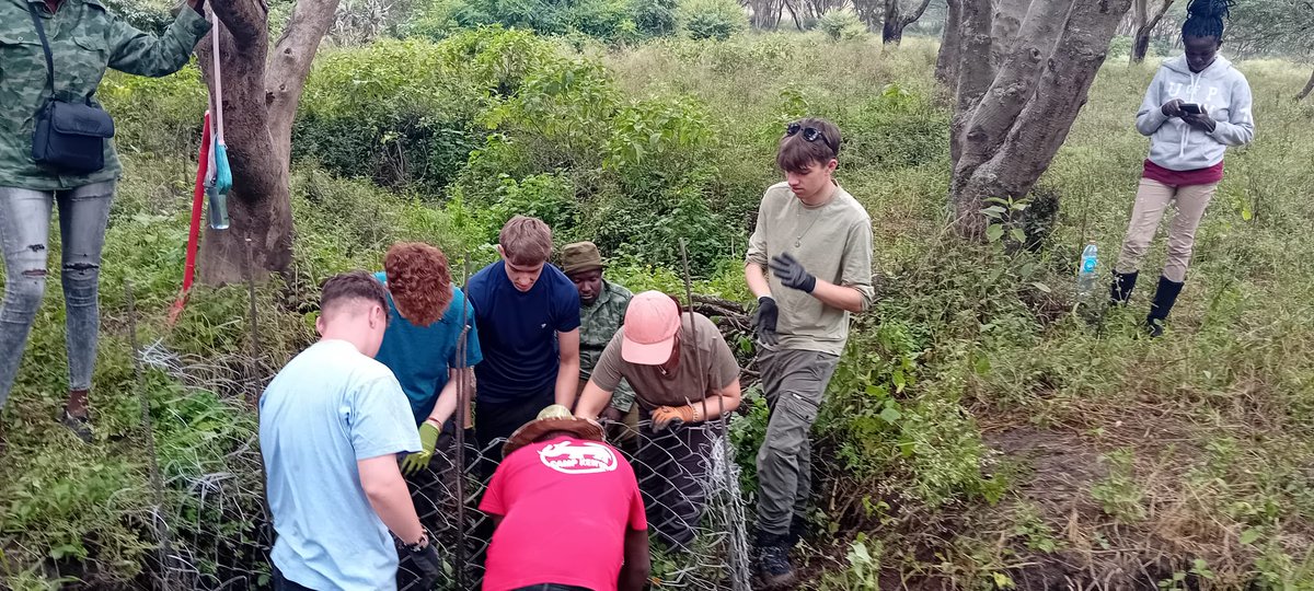 campkenya's tweet photo. #TeamChui have been hard at work at #TheWildlifeFoundation, working on making gabions and planting trees 🌱 So great to see the team getting stuck into their projects 🙌🏼 @campsint #campseffect #environmentalproject https://t.co/aCa2SW2XoV