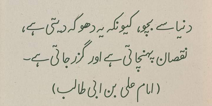 اور دنیا کی زندگی دھوکے کے سوا کچھ نہیں....♥️🌸🥀