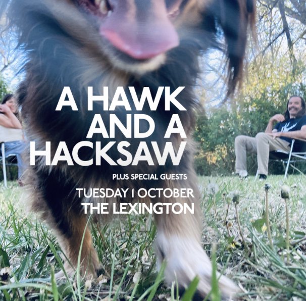 Festivals and Gigs tweet media