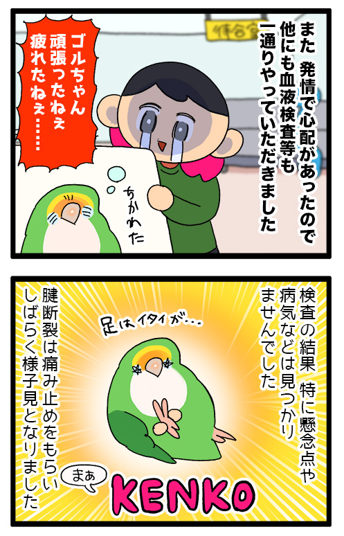 ゴルちゃん、あんよを痛がっている様子があったので病院に連れて行きましたの日記です。🏥🦜
1174 #えるポピの絵日記かくところ