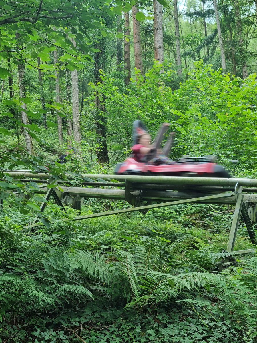 GGCaernarfonsh's tweet photo. What an adventure! 🌟 Our Guides and Rangers conquered the Forest Coaster, zoomed on zip lines, climbed high, and balanced through the high ropes at ZipWorld. Huge thanks to our amazing volunteers for organizing this unforgettable day!🎢🌲 #ZipWorld #Adventure @Girlguiding https://t.co/bj2cZUkkuq
