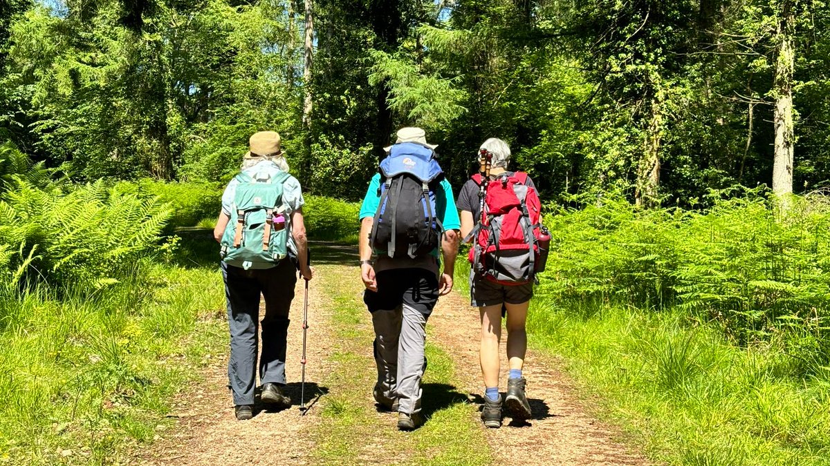 Vale Ramblers tweet media