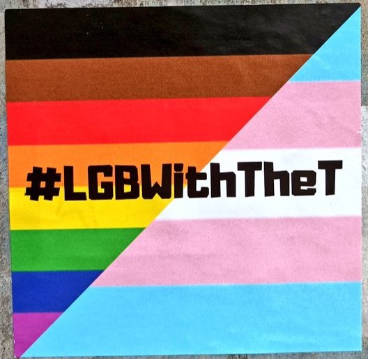 Dublin Stickers Against Transphobia tweet media