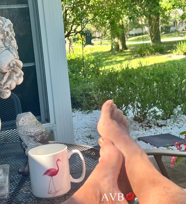 Happy Saturday friends!   Another beautiful Florida morning!  Me and my feathered friends year round<a href="/tag/ocala"class="tags"><span>#ocala</span></a><a href="/tag/birder"class="tags"><span>#birder</span></a>