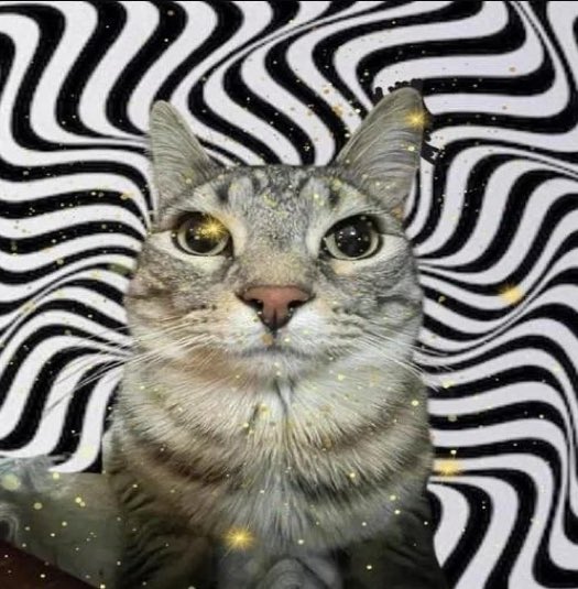 I bought this: 

n7EksMkvk3WT5FjQ3HBMLm9XYU3EnoXUSJ7PoWpxsoG 

You need to decide for yourself. 

I told you before, i will only buy coins that can...