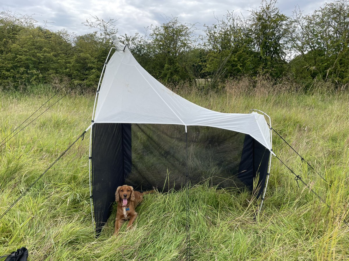 Sophie Cunnington (@socunnington) on Twitter photo Protector to the malaise trap!
We are into our second year of setting up a monthly malaise trap for <a href="/BIOSCAN_UK/">BIOSCAN in the UK</a> . Looking forward to seeing how this year’s results compare to last year’s.
<a href="/WildOxfordshire/">Wild Oxfordshire</a> #yellowwagtailproject. Protector to the malaise trap!
We are into our second year of setting up a monthly malaise trap for <a href="/BIOSCAN_UK/">BIOSCAN in the UK</a> . Looking forward to seeing how this year’s results compare to last year’s.
<a href="/WildOxfordshire/">Wild Oxfordshire</a> #yellowwagtailproject.