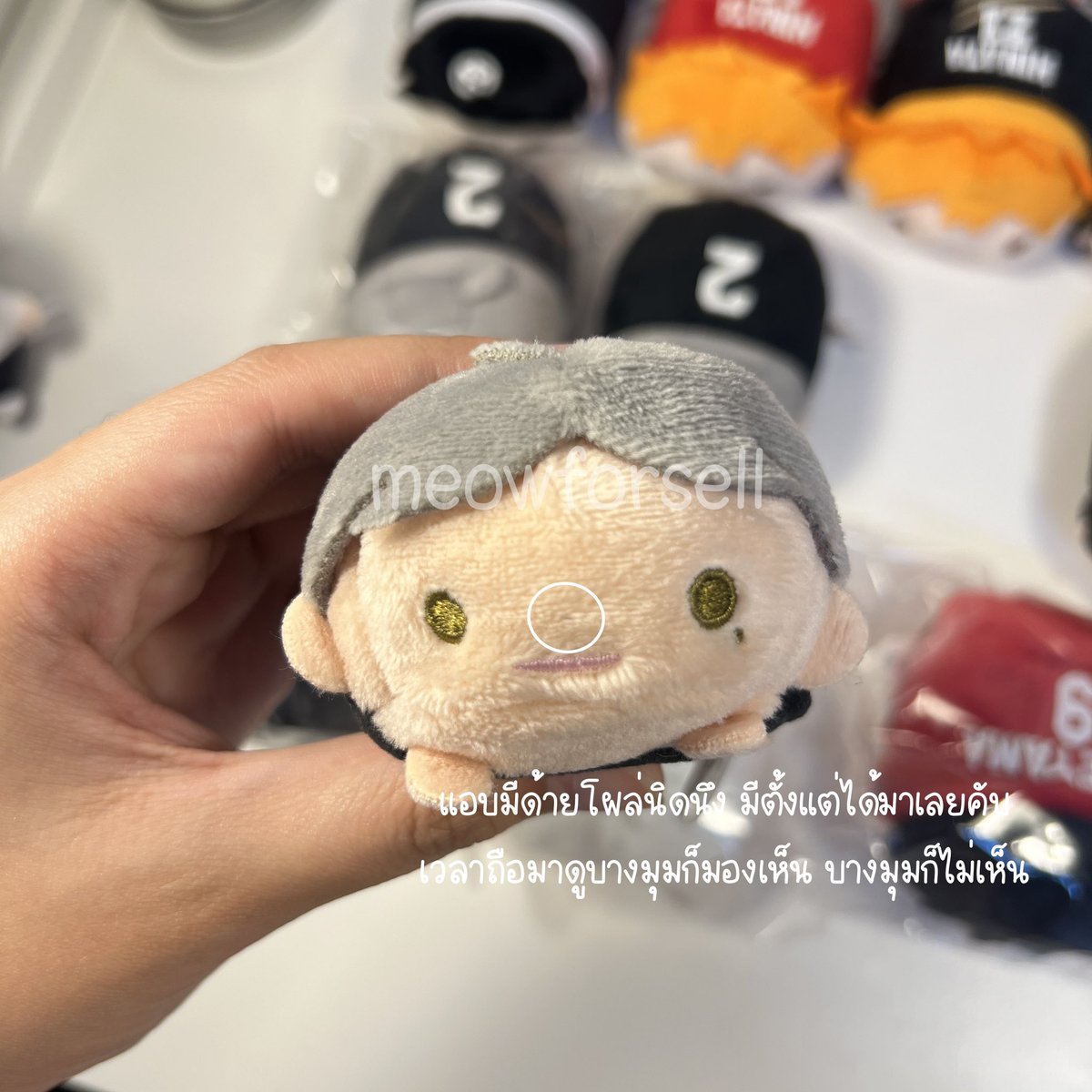 meowforsell's tweet photo. อันนี้ภาพเพิ่มเติมตำหนิโนรุสึกะดำทั้ง 2 ตัว กับฮิเกิดค่ะ https://t.co/bSYtpk4WbZ