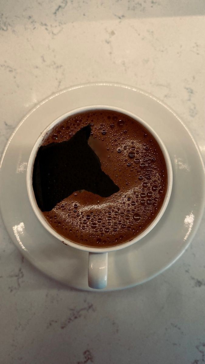 ilbilgemedya's tweet image. Bir Türk kahvesi içelim o zaman 🥰🐺