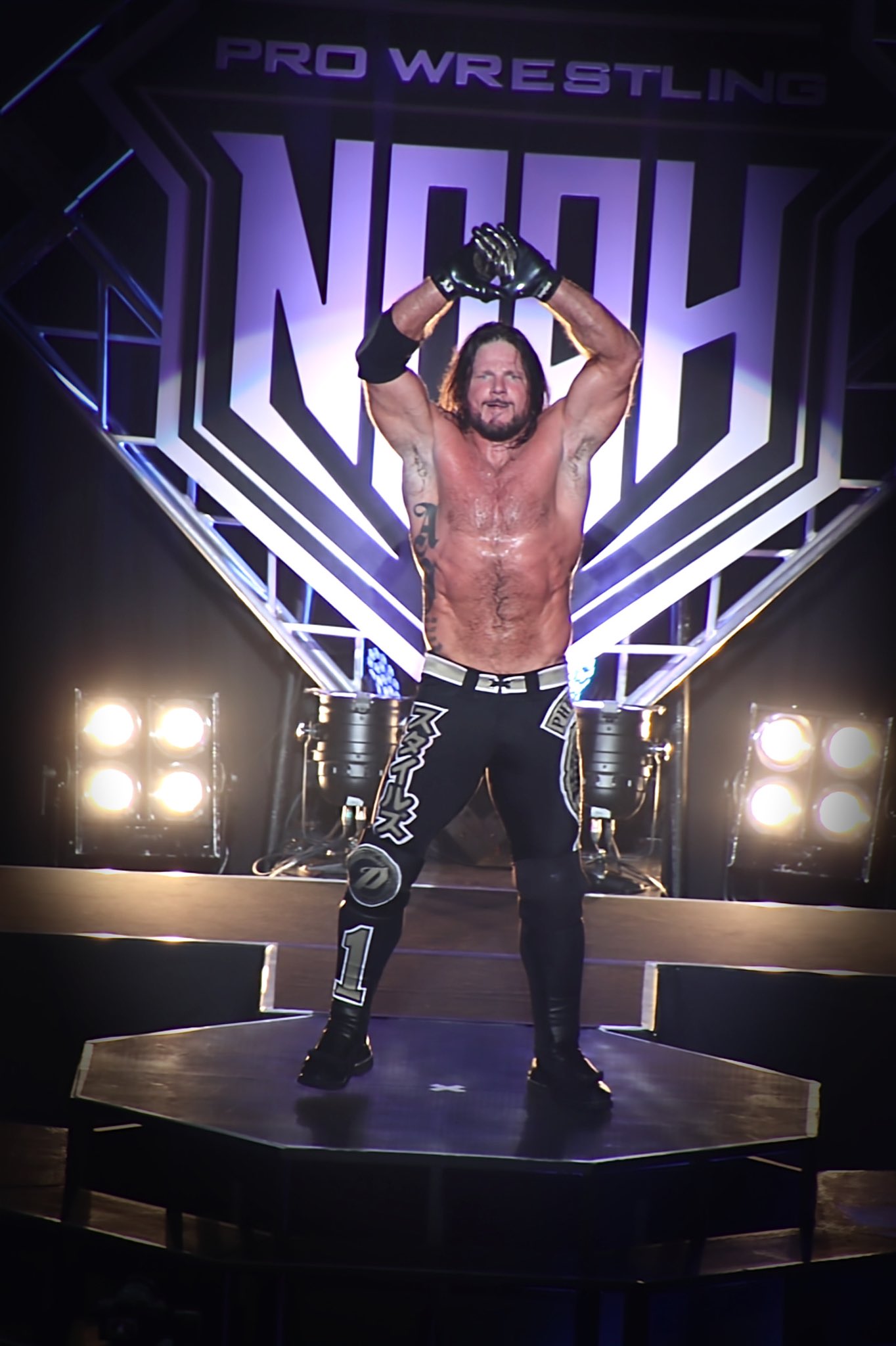 未開封　WWE 新日本プロレス　TNAリングスターズ！　AJスタイルズ 未開封 WWE 新日本プロレス TNAリングスターズ！ AJスタイルズ