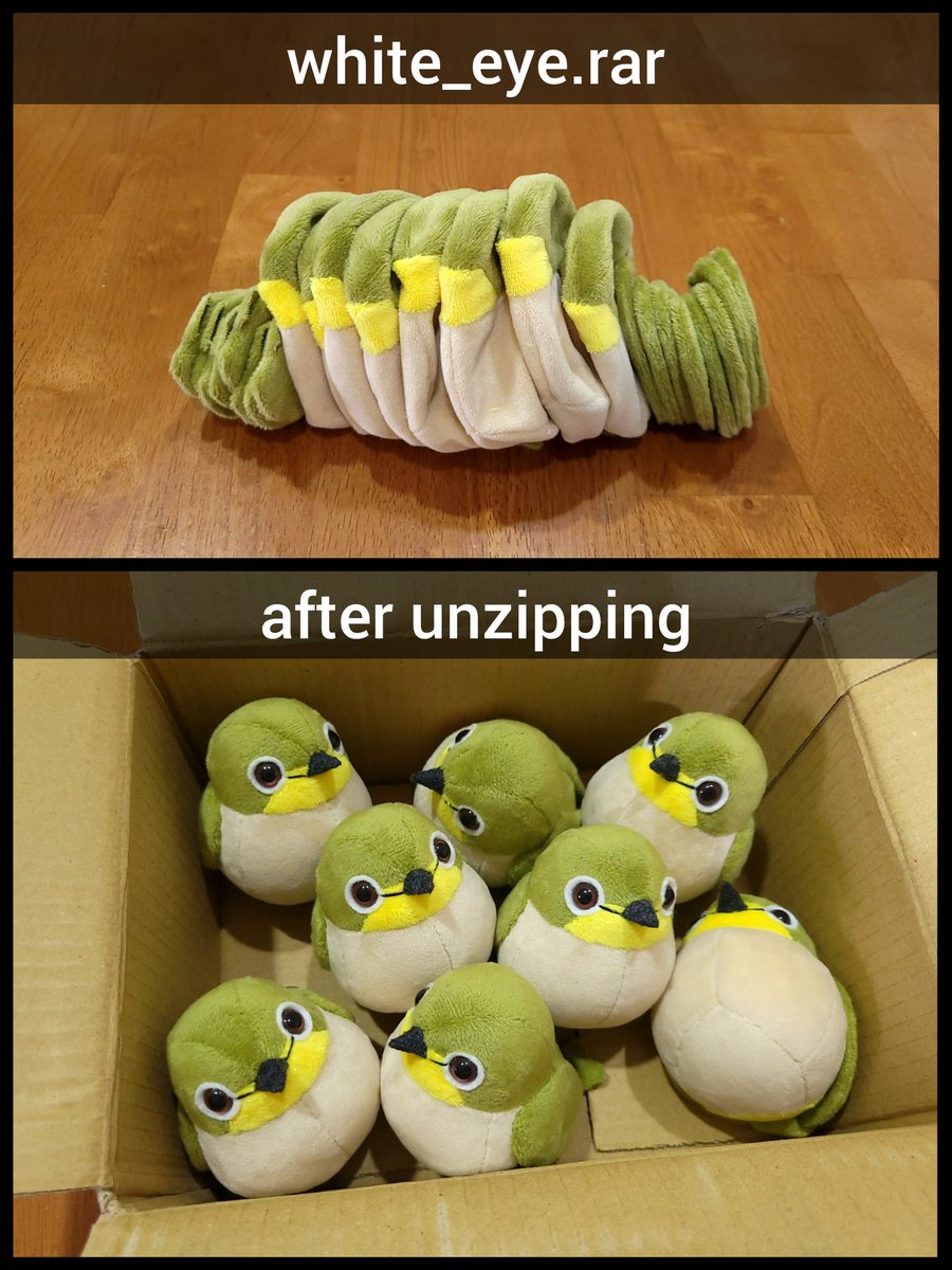 icecream80810's tweet photo. white_eye.rar after unzipping 
🐦📂
#bird #animal #plush #plushie #ぬいぐるみ https://t.co/0vv4J6X9qd