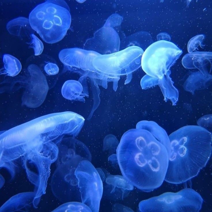 ໑ ֶָ֢ yuura || moved acc tweet media