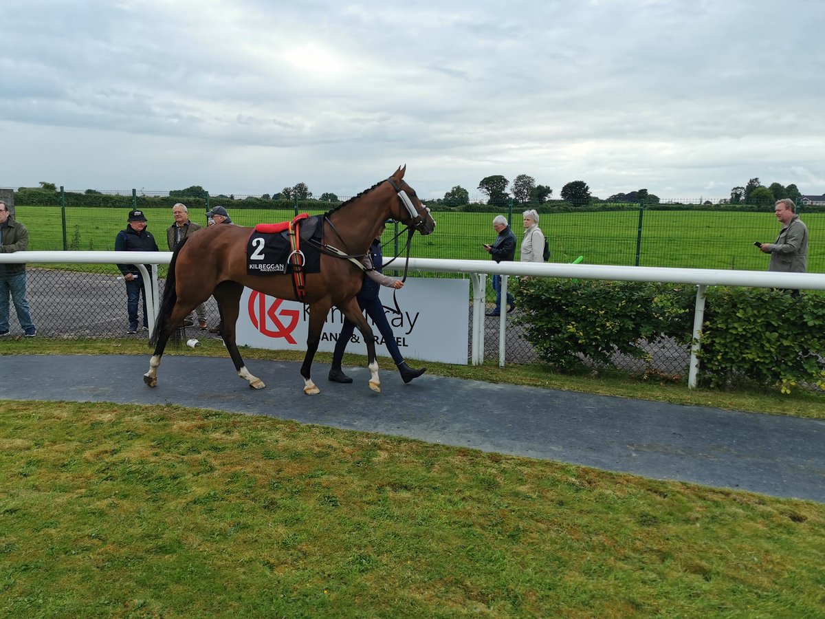 Declan Carroll tweet media