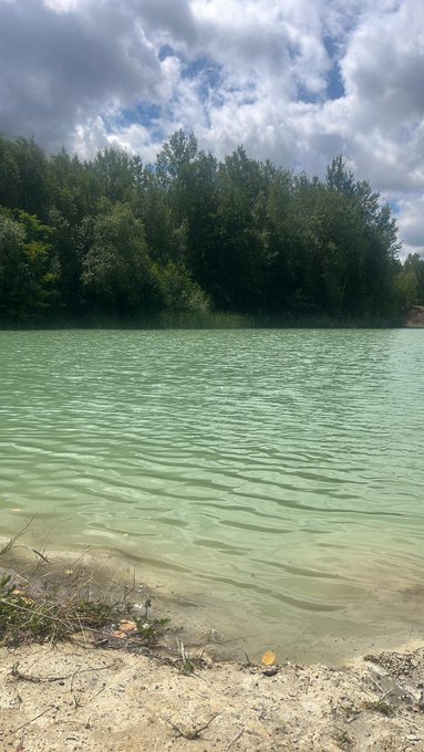 😻 https://t.co/grmtRbzv3H