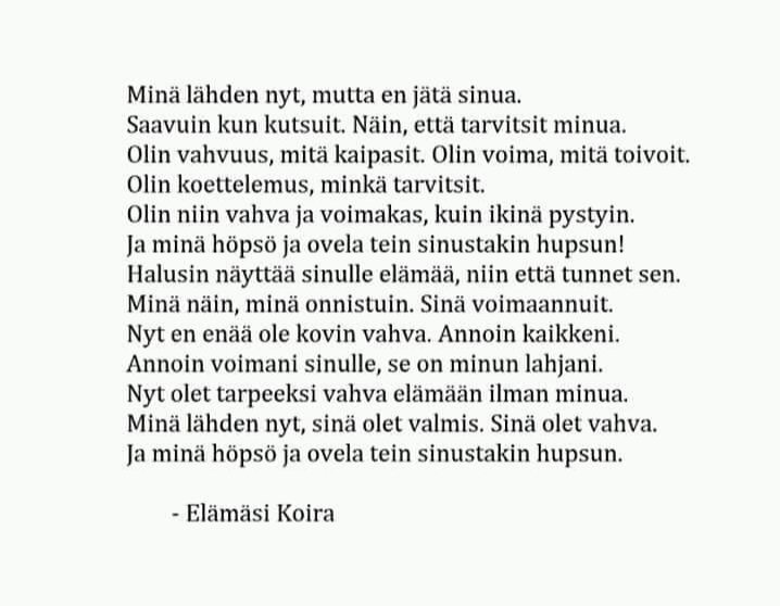 KHatakka's tweet photo. @DiegoKirsunen Sain tämän Mimmin äkillisen poismenon jälkeen ja on aindkin itseäni lohduttanut. Osanottoni ❤️ https://t.co/tasv2XckFN