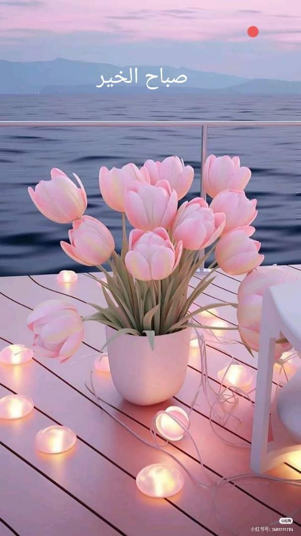 hala00049's tweet photo. @NawalAlHomoud https://t.co/yYsAICL9My