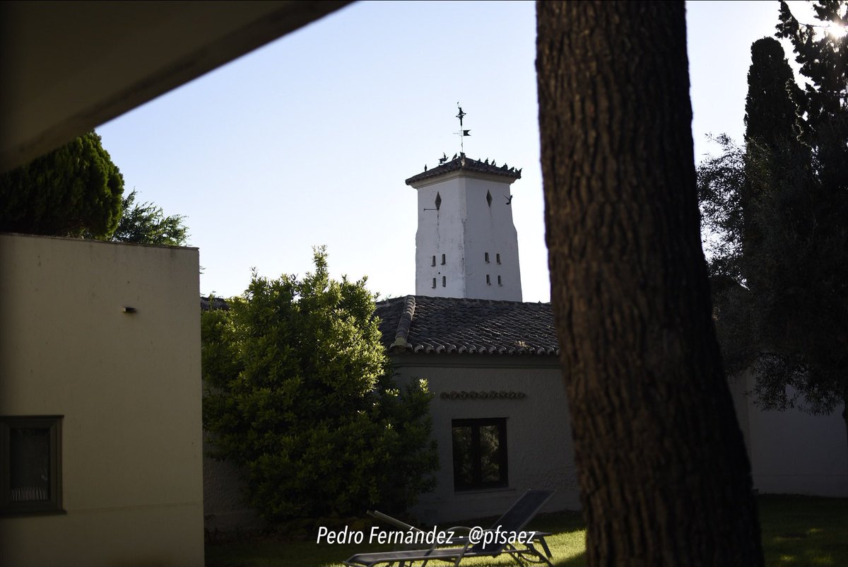 alsaudade's tweet photo. #palomares en el @HotelLaSalve. De los que le gustan a @_curcue_ 😊
#torrijos #Toledo #alcabon #alsaudade https://t.co/nNSNKi2hBt