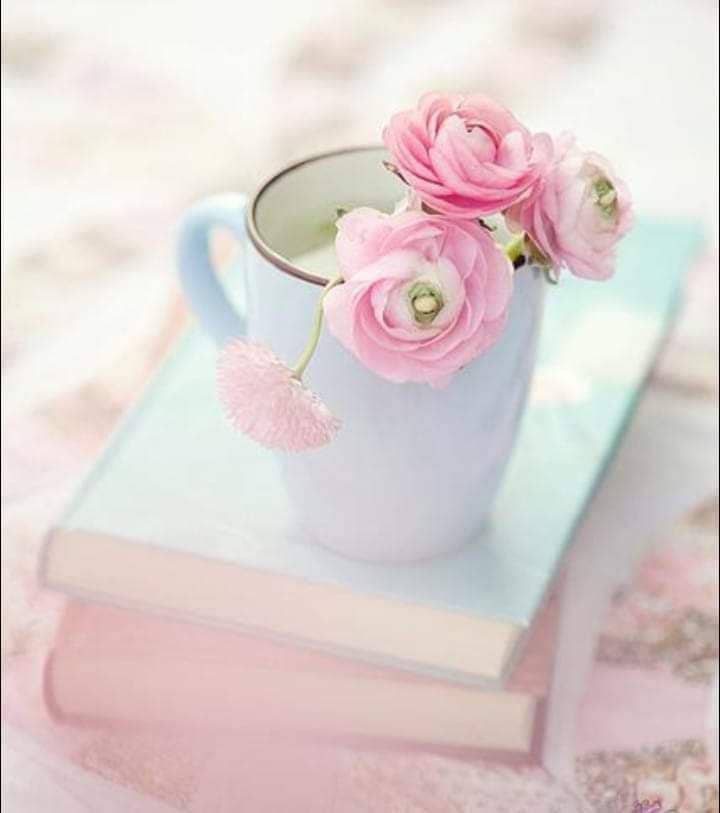 🌸〰••

الصحة لا تتعلق فقط بما تأكله ، 
بل تتعلق أيضًا بما تفكر فيه وتقوله
أن تكون صحيح القلب والمعتقد