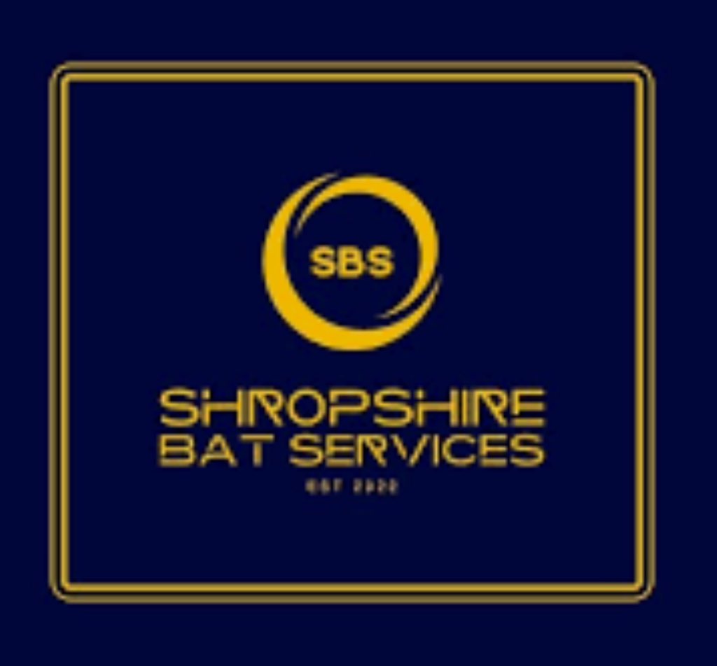 Millie Parry tweet media