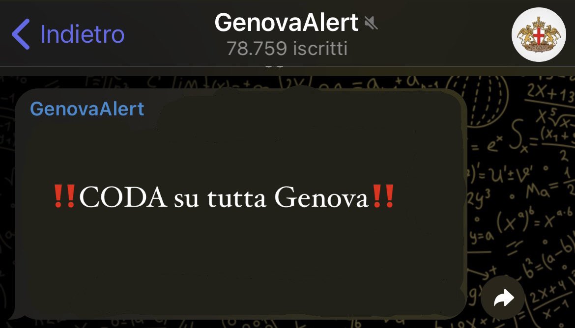 BlucerchiatiDOC tweet media