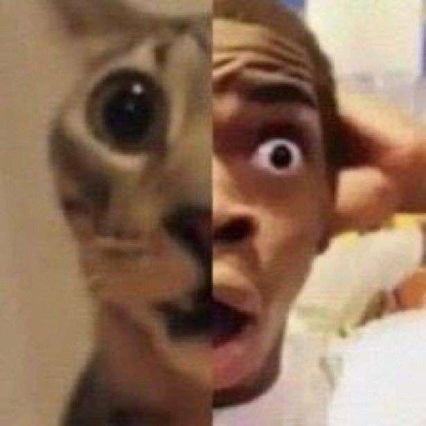 Segunda noite seguida que um dos guri do corre aqui da quebrada sai  do plantão boca  e vem aqui fude... Descobri agora pouco que ele tem namorada ....