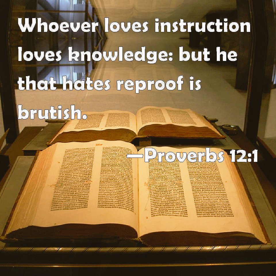 4showuright's tweet photo. Proverbs 12
If You Love Learning 

1 If you l💖ve #learning, you l💖ve the #discipline that goes with it— how short-sighted to refuse correction! 
Proverbs 12:1 MSG 

#GetWisdom 
#GetUnderstanding https://t.co/hRUSX51GaR