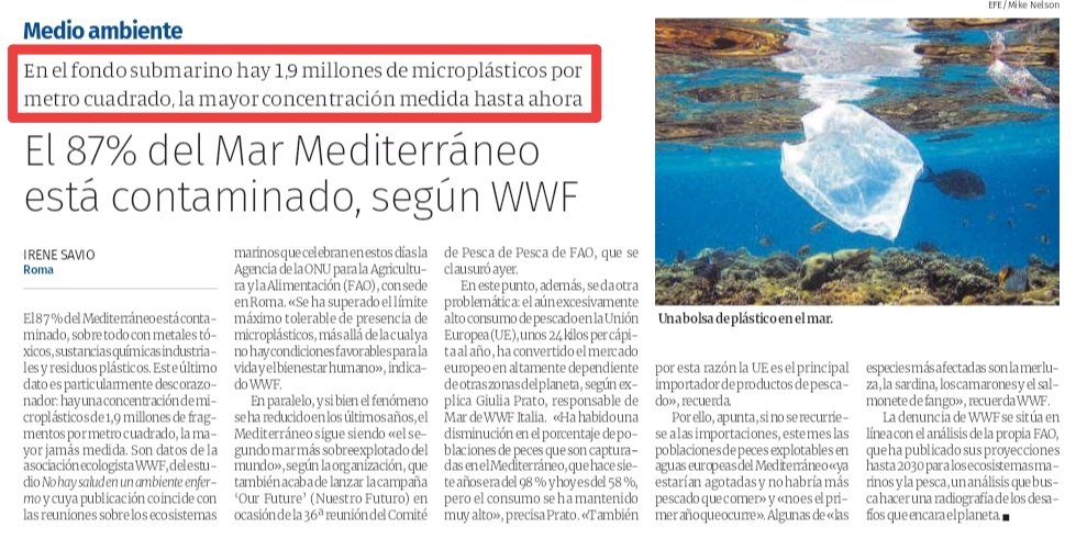 Recuperar Balears 🇺🇦🇪🇺 tweet media