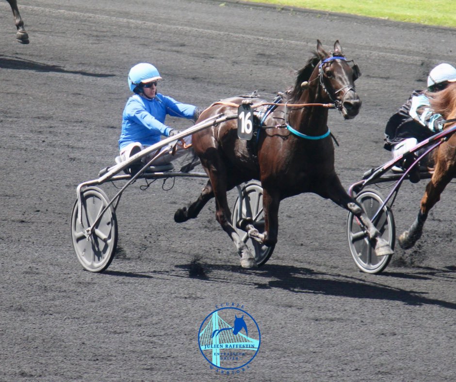 🗓️ SAMEDI 13 JUILLET
📍 Enghien

🐴 812 Faucon de l’Alba (🧤 Y.Lebourgeois)

« C’est une belle course pour lui, similaire à celle de la semaine dernière. Il a sa chance pour être dans les 4-5 premiers 💪 »