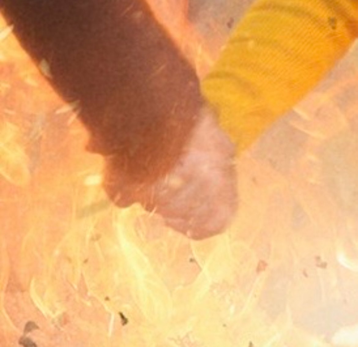 Christel Dee tweet media