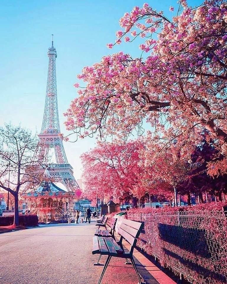 mjesusgz's tweet image. Paris, France 
#Paris #France #photography #cityscape #X #travel #destination #scenery #summer #toureiffel