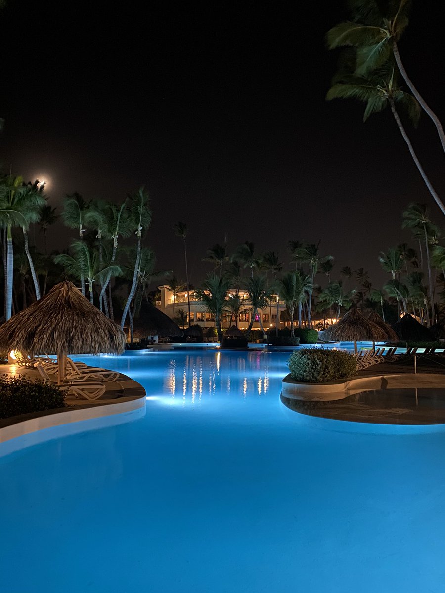 Suuko🇩🇿 tweet media