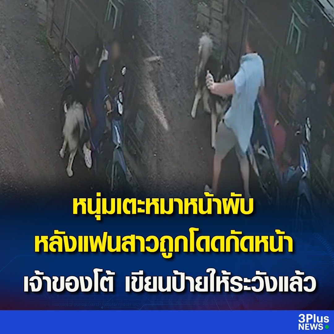 ปากกาส้ม tweet media