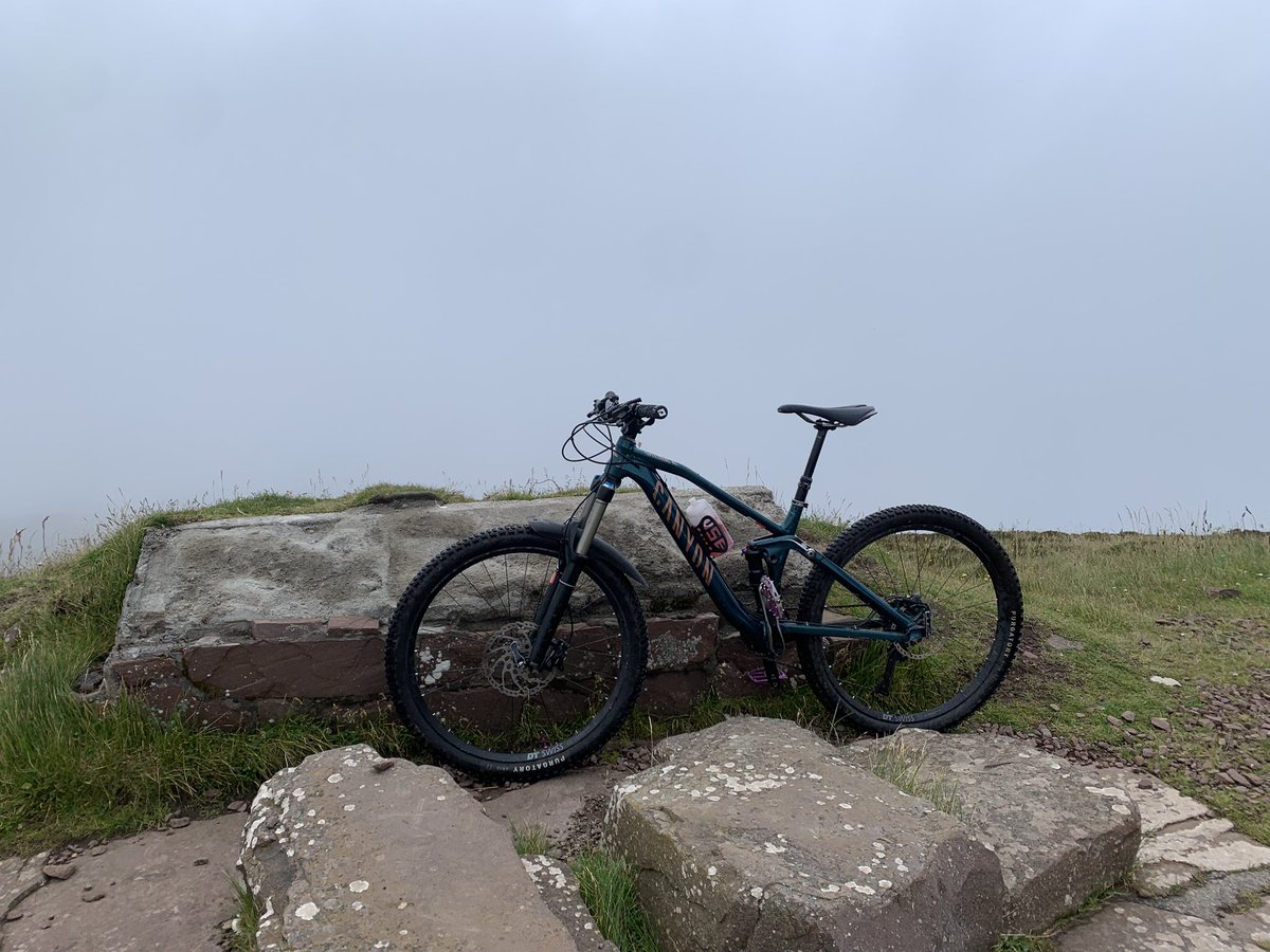 Tracy Munro tweet media