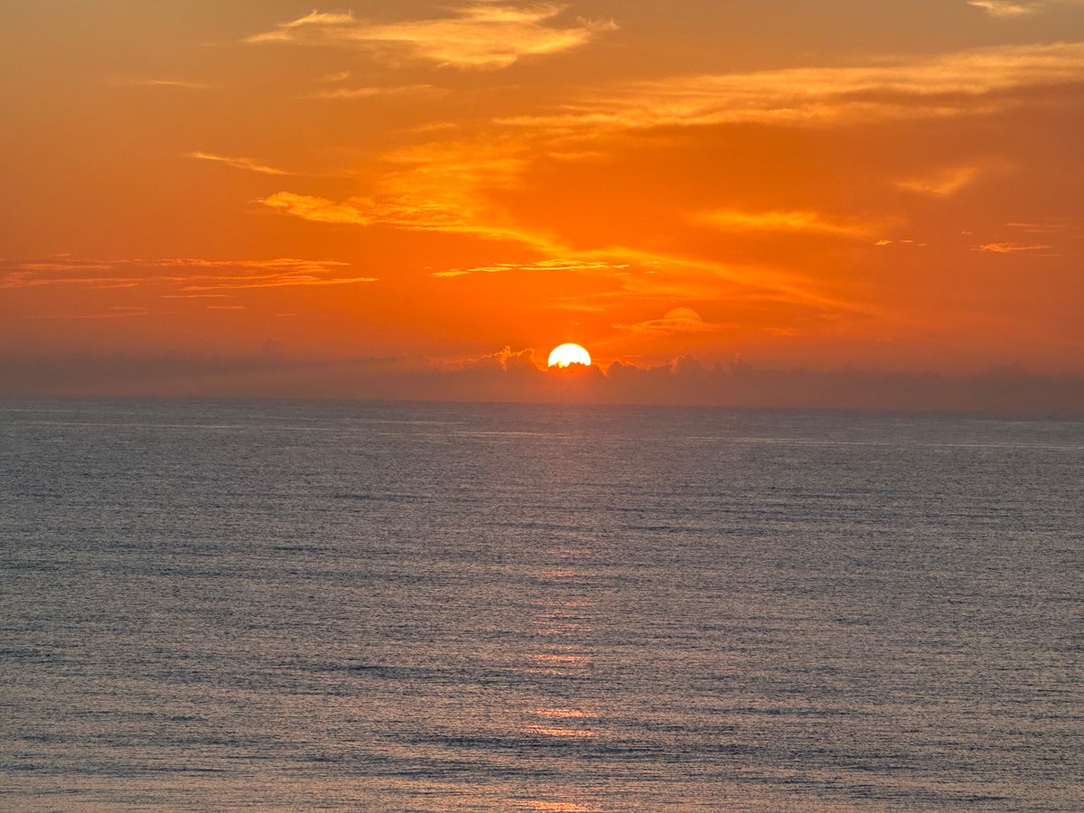 Dr. Matthew Cheeseman tweet media